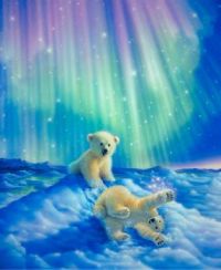 Polar Night