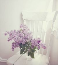 Lilacs 1