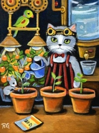 Spring Seedlings