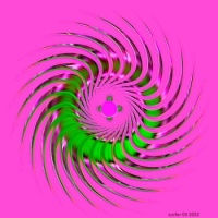 Spinner on Lavender   2