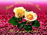 Happy Birthday dear Rose Aunt_Rose