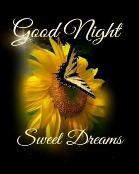 Solve Good Night - Sweet Dreams! jigsaw puzzle online with 63 pieces