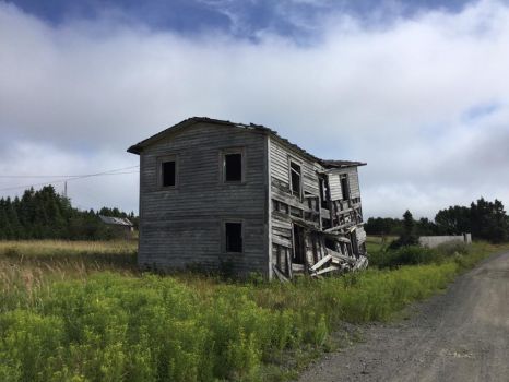 where once they lived, Cottel's Island, NL