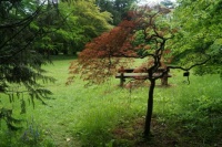 In the Arboretum