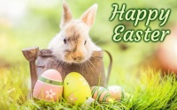 My Easter Wishes For You (#3)