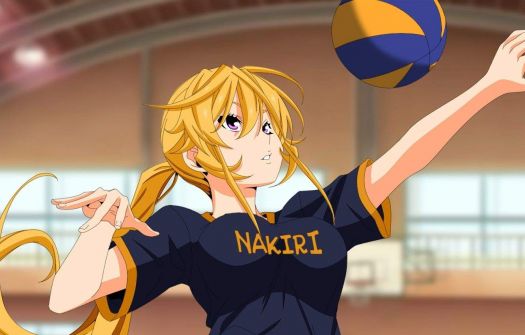 Solve Volleyball Anime jigsaw puzzle online with 187 pieces