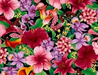 Hawaiian Floral Quilting Fabric by RaRaRass