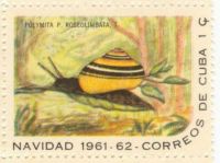 Cuban snail stamp 4