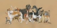 Sighthound menagerie