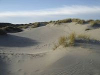North Sea Dunes, Netherlands
