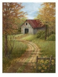 Roadside Barn by Lane Alstead Casey