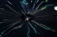 The busy spider...