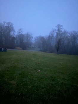 Dec 2, 2023 Early fog (a)