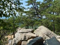 Summit Rocks at Sugarloaf Mt, MD