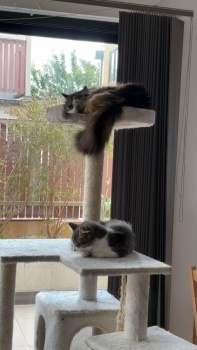 Alphie & Frankie 03