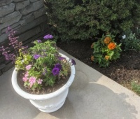 Flowers, part II