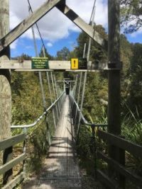 Walking Bridge in New Zealand