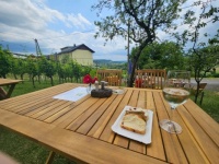 ein Glas Wein mit Mehlspeise - a glass of wine with pastry