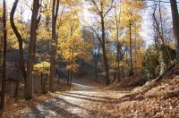 Basilica at Holy Hill trail