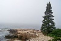 Acadia National Park Scene