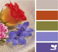 Floral Color Palette