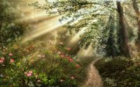 The Garden Path