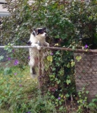 Mom said get down!!
