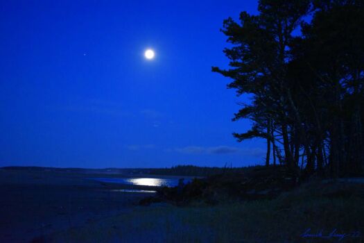 DSC_2084 Popham Beach Maine Predawn Moon