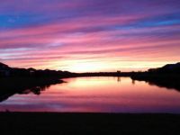 Purple sky