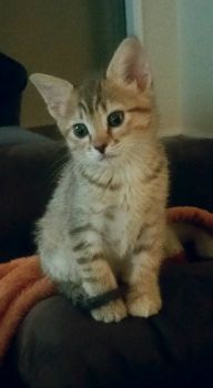 I'm cute