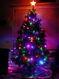 o xmas tree