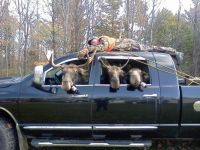 moose hunters