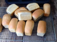 Bread sample