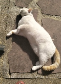 Easter wishes from Dorus (and family) ♥