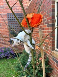 Luca learning to climb