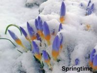 'Spring is here..!!'..