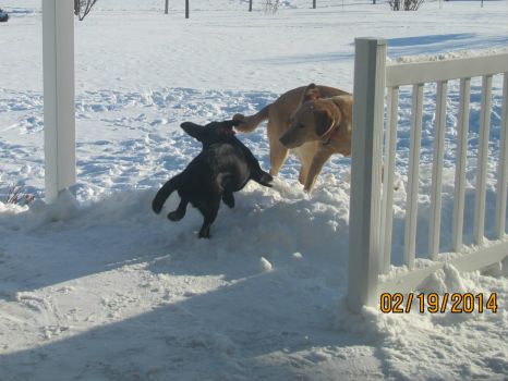 Play time in the snow