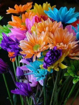 Flowers for Everyone in Appreciation of Jigidi !!!!