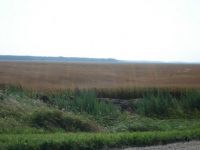 Pasture