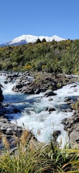 IMG_20221204_101505