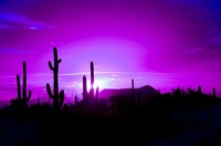 Purple Sunset Richard Grzych