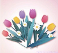 Tulips & Daisies.  🌷🌼
