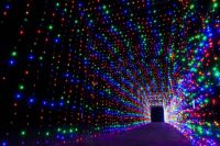 Christmas Light Tunnel