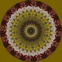 #1 large