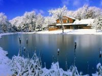 frozen pond