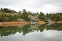 Reflection