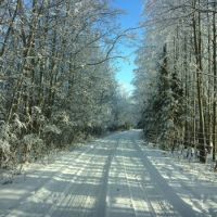 wintery driveway