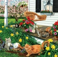Cats on Porch Swing from Dogs, Cats & Horses FB