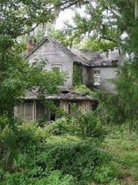Abandoned House in the Woods