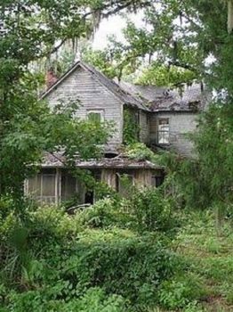 Abandoned House in the Woods